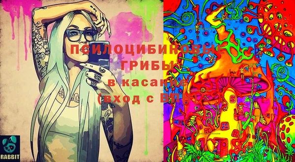 MDMA Каменск-Шахтинский