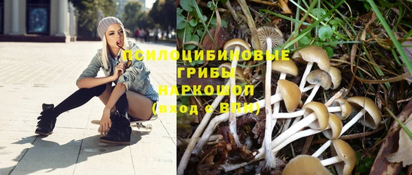 мет Инта