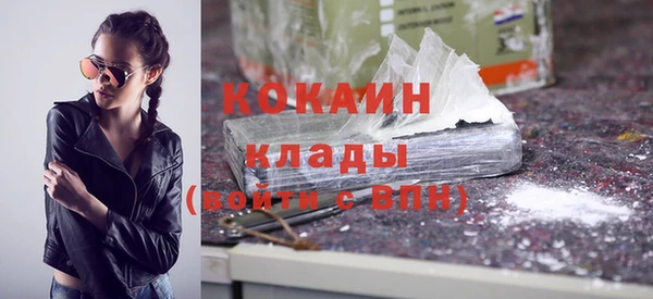 мет Инта