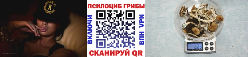 Псилоцибиновые грибы мицелий  Нижнекамск 